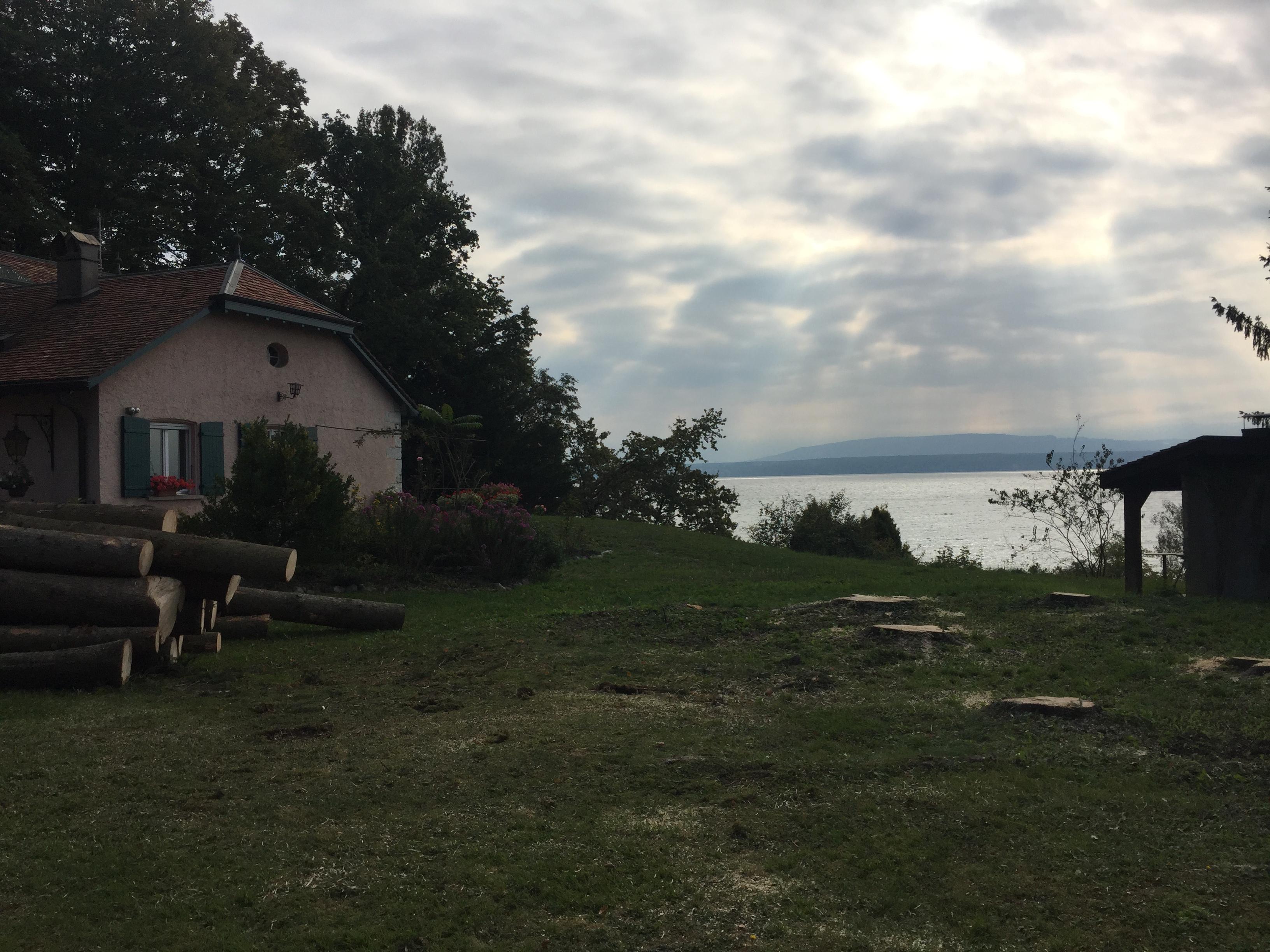 Défrichement et déboisement dans le Jura — SAS POLYVIER